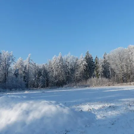 Holiday home In With Wi-fi Tharandt