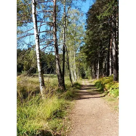 In With Wi-fi * Tharandt