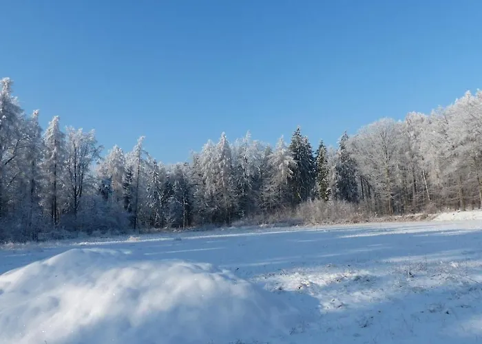 Feriehus In With Wi-fi Tharandt